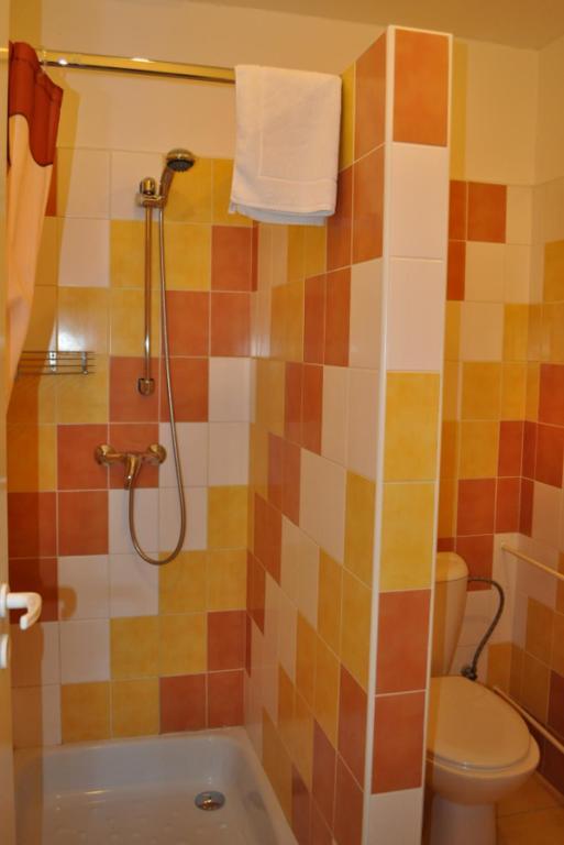 Sport Hotel Ostrov Trenčín Rum bild