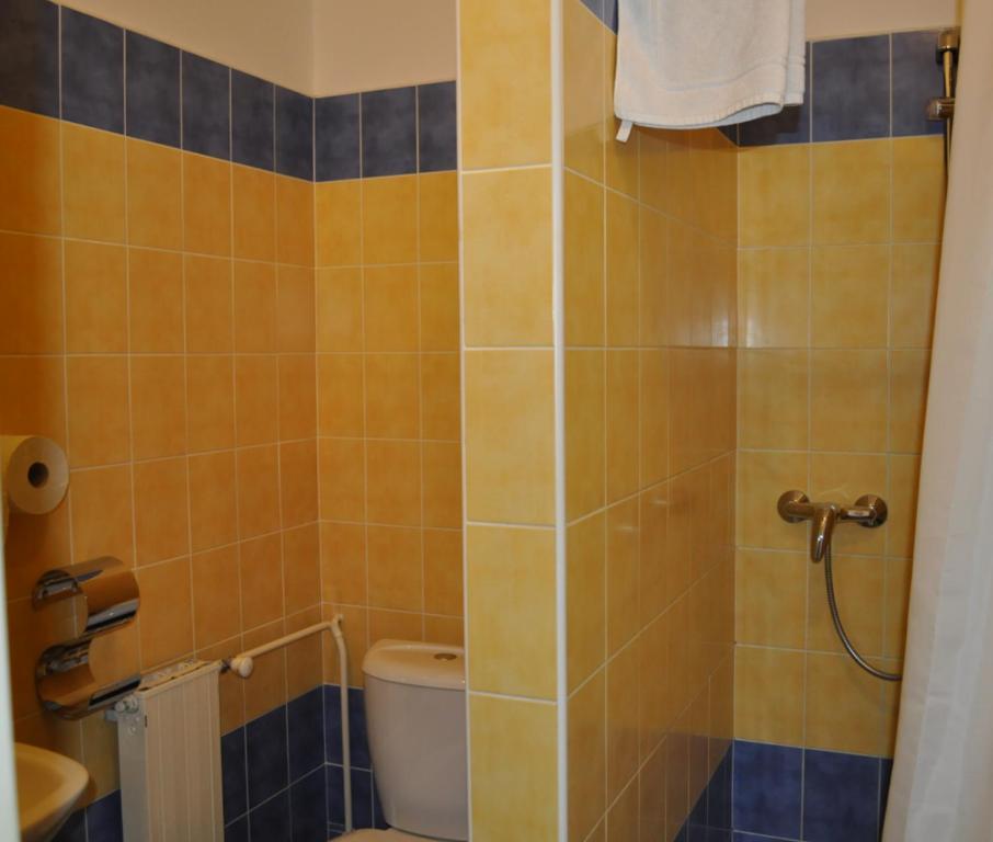 Sport Hotel Ostrov Trenčín Rum bild